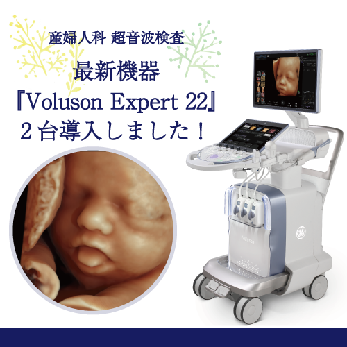 新機器『Voluson Expert 22』2台導入