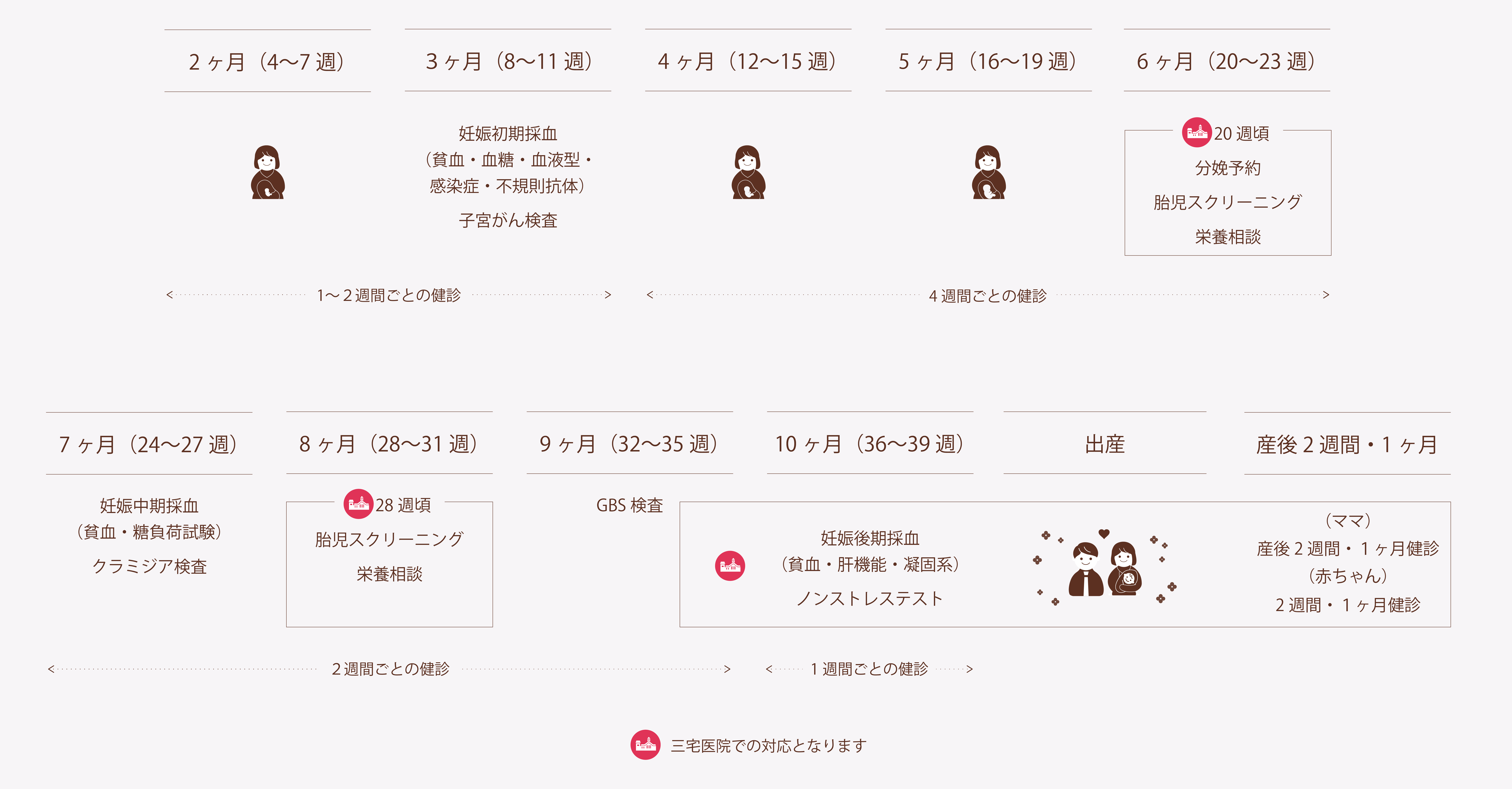 妊娠週数で見る健診スケジュール